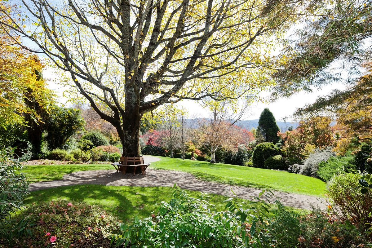 the-blue-mountains-botanic